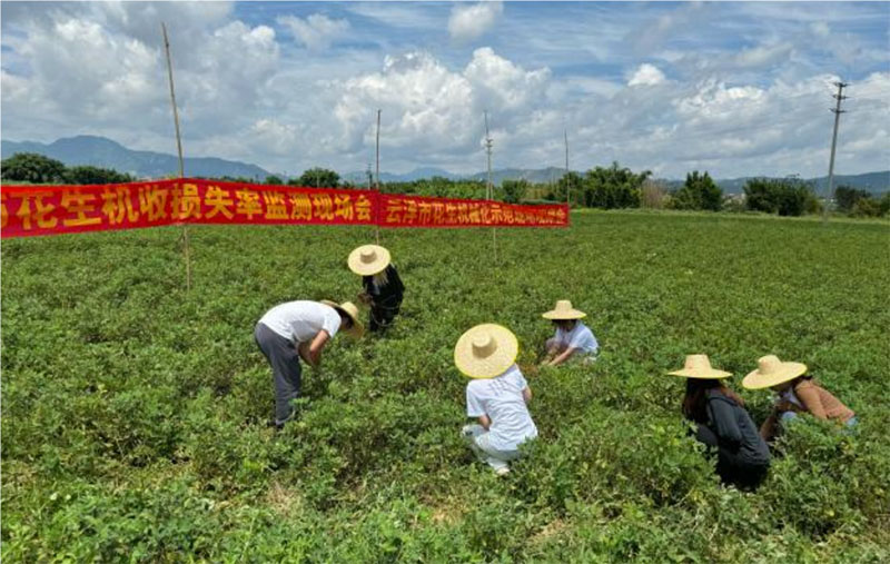 廣東羅定：大學(xué)生暑期實踐團(tuán)，齊心獻(xiàn)力鄉(xiāng)村振興建設(shè)