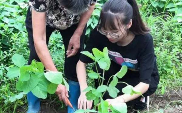 傳承基于文化，實踐探索未來——麗水學院實踐隊挖掘“創