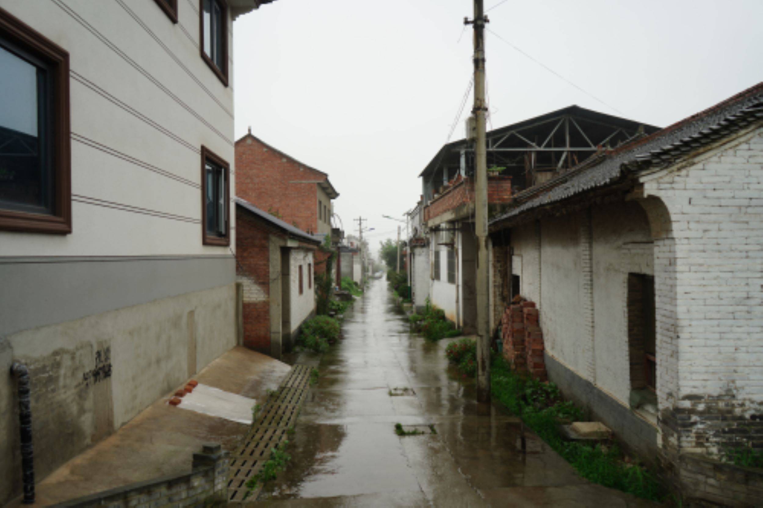 "胡劉村雨中尋紅色，長安隊心間續薪火"