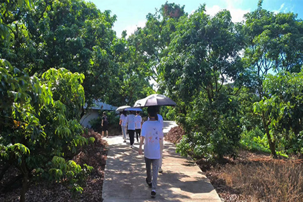 “心跡之旅”社會(huì)實(shí)踐隊(duì)在茂名高州根子鎮(zhèn)開展荔枝文化走訪活動(dòng)