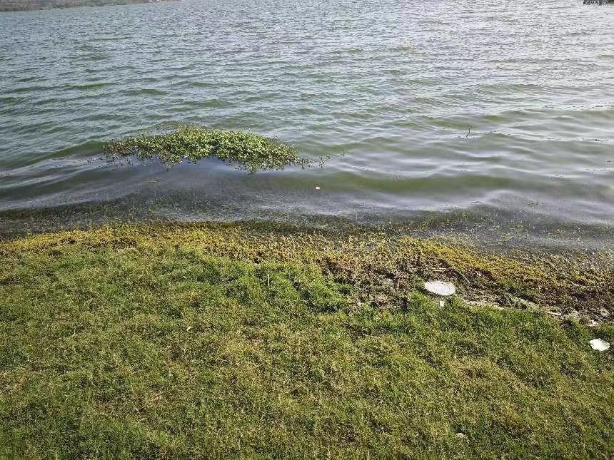 藍碳觀海實踐隊：海洋保護行動