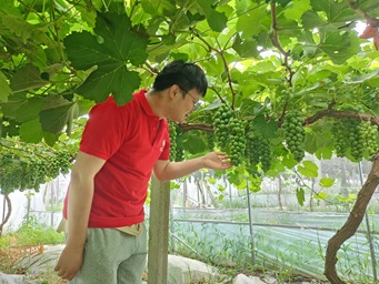 大學生暑期社會實踐參觀之旅與村委授牌儀式