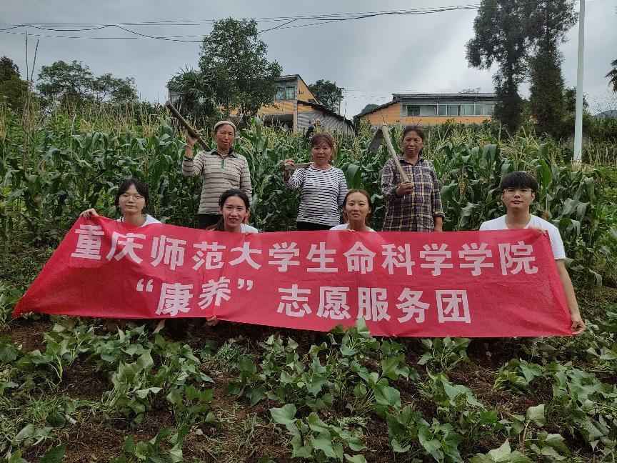 深入鄉村勞動實踐，感受農業勞動魅力