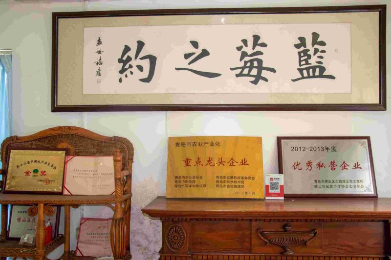 中國石油大學（華東）致遠實踐隊赴藍莓園開展調(diào)研