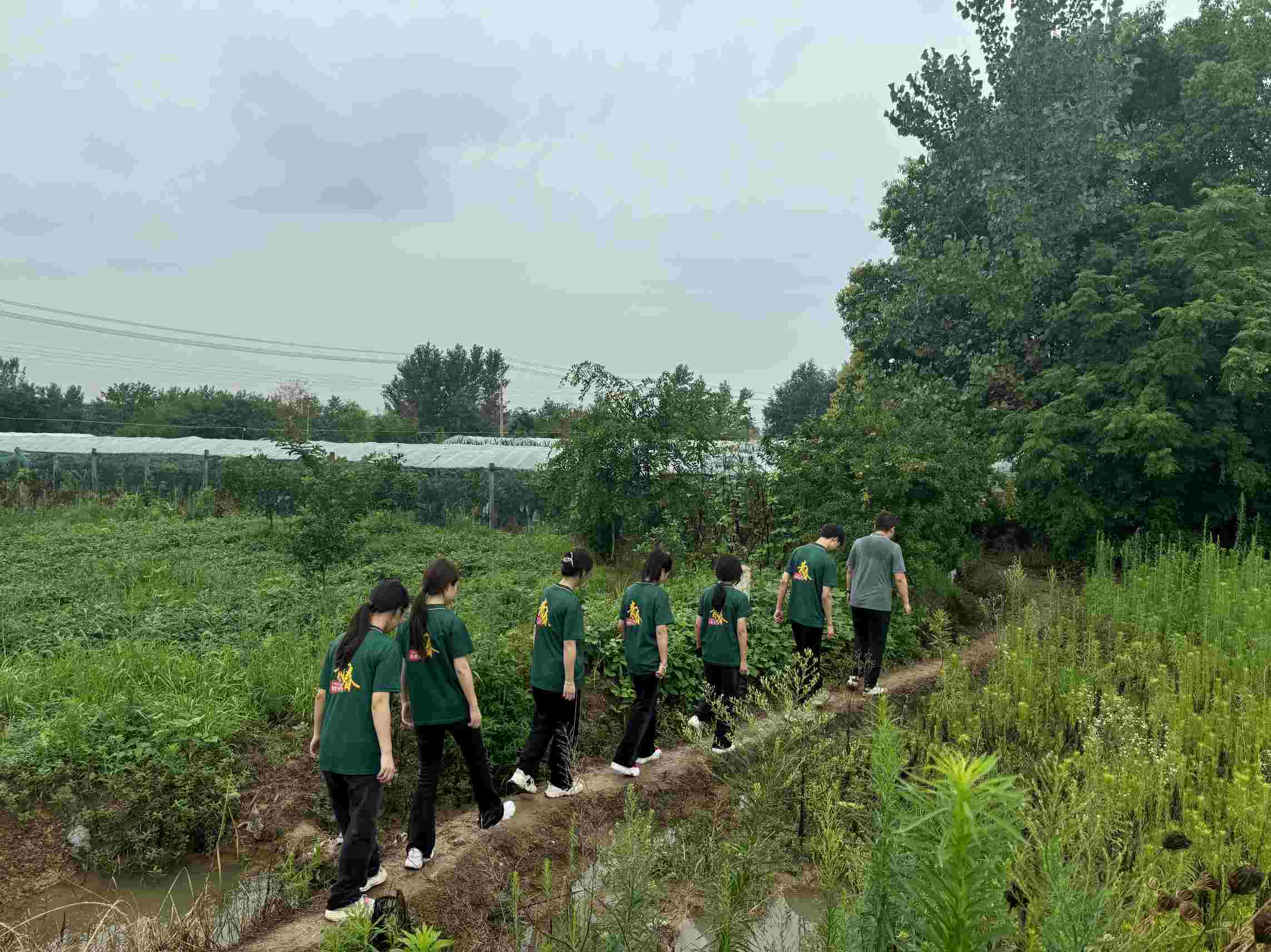 《巢湖學院：大棚薄膜改革調研推廣，助力鄉(xiāng)村農(nóng)業(yè)發(fā)展》