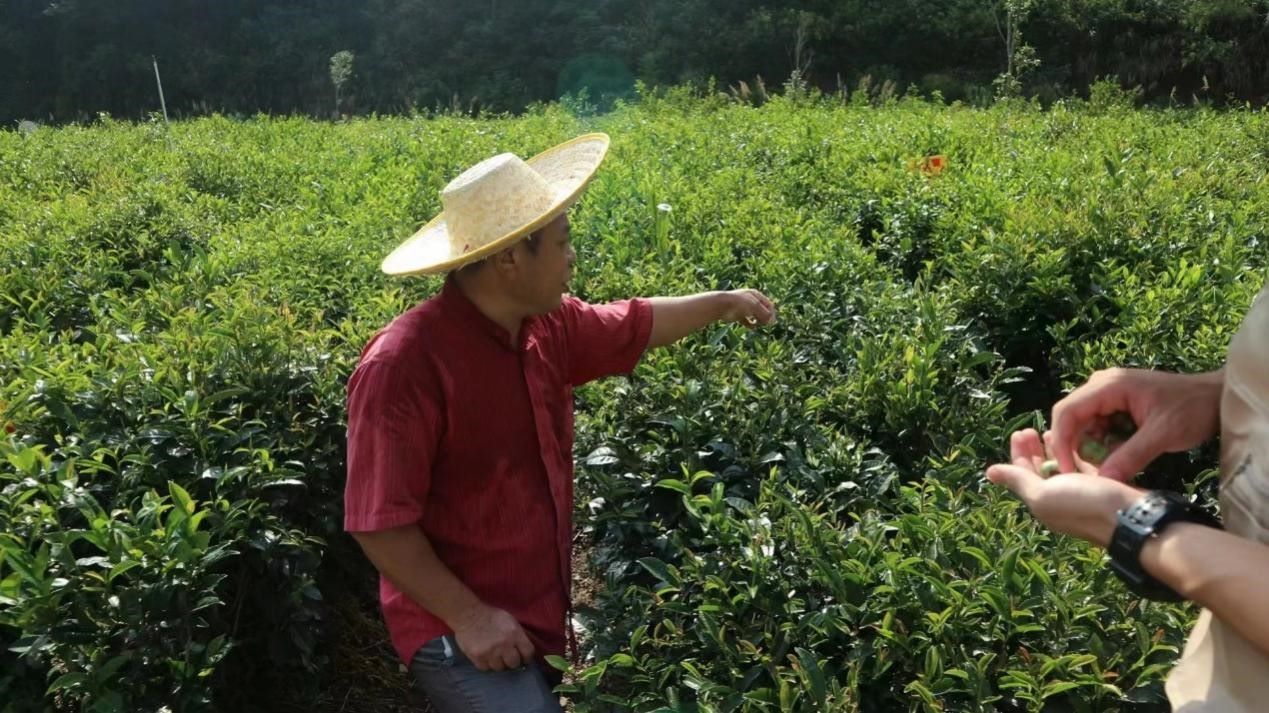 學思踐悟|佛科院學子活躍在他鄉，助力民族團結