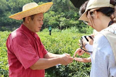 佛山科學技術學院學子三下鄉：走進連南瑤縣，助力鄉村振興