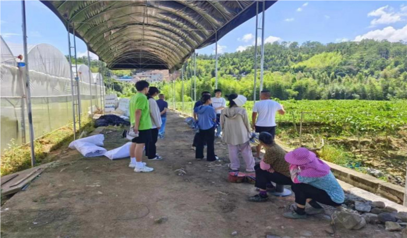 情系百香果，共筑夢想園