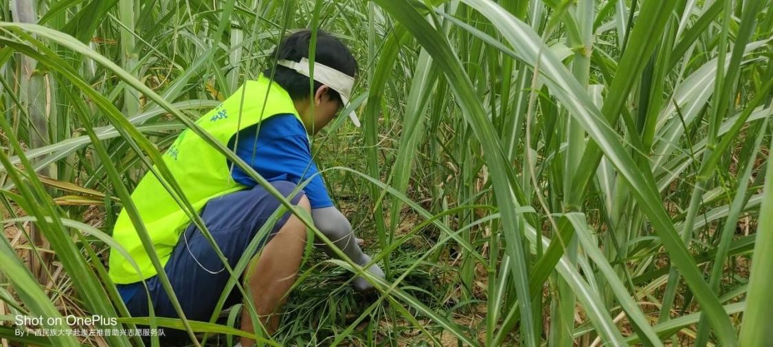 三下鄉：服務隊深入田間助農，共同促進鄉村振興