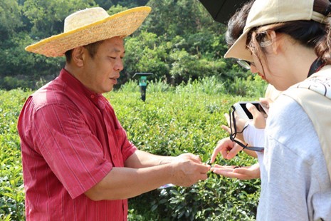 佛山科學技術學院學子三下鄉：走入連南茶園，助力民族發展