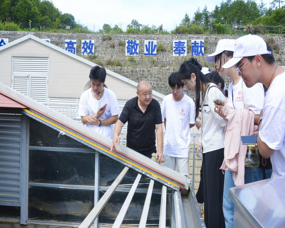 供水調研促發展，民生保障惠萬家—合肥大學“岳”動青春，遇“踐”盛夏實踐