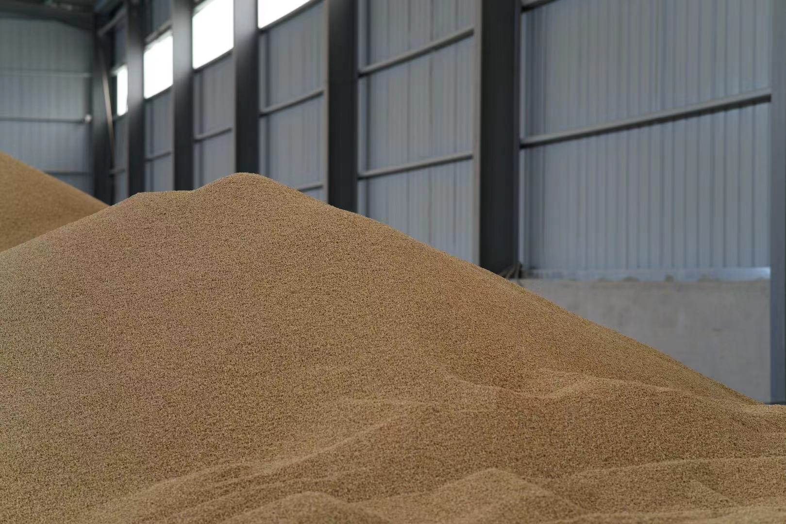 走進小麥加工基地，感受糧食的珍貴與科技的魅力