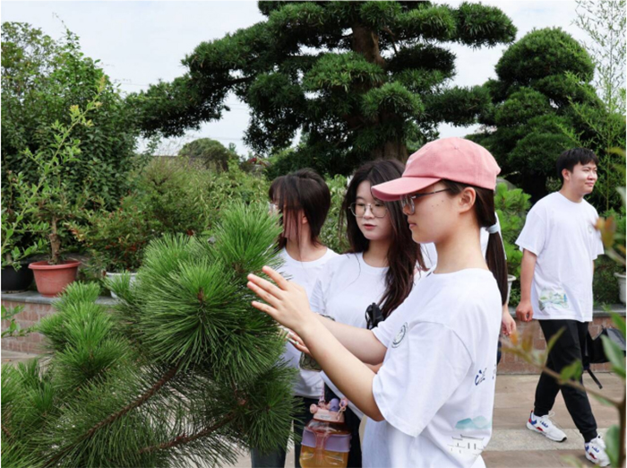 聚焦成都世園會溫江分會場，賦能非遺盆景產業發展