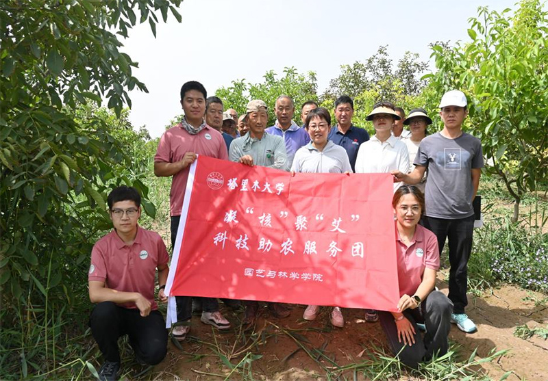 解決果農問題，助力核桃產業