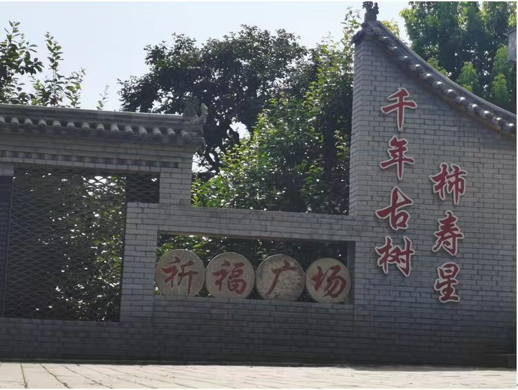 長安大學(xué)赴陜西渭南“鄉(xiāng)村振興·服務(wù)三農(nóng)”暑期社會實