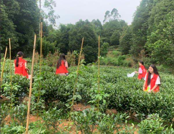 屏山三下鄉活動圓滿成功