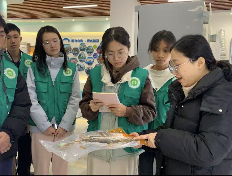 佛山大學“漁”躍鄉村實踐團：走進明基水產，探索漁業發展新航標